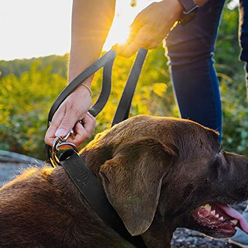 Leather Dog Leash - Genuine Material Leather Leashes for All Pet Sizes - Pet Lead - 5 Ft Premium Quality - Soft Material - Black