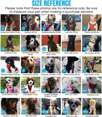 Dog Seat Belt - Adjustable Dog Car Harness for Large, Medium & Small Dogs, Soft Padded & Breathable Mesh Dog Seatbelt with Car Vehicle Connector Strap (Blue, Medium)