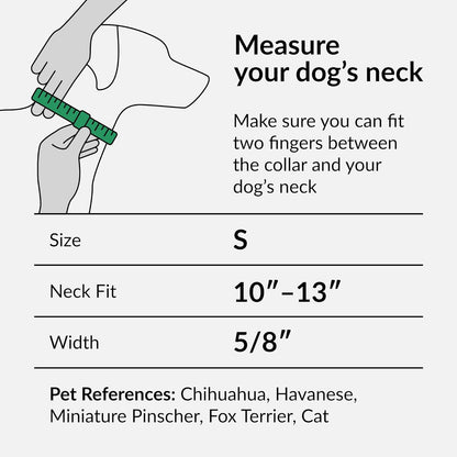 Aztec Dog Collar Adjustable Nylon Tribal Pattern Geometric Pet Collars for Dogs Small Medium Large Puppy (Ethnic Teal, Neck Fit 10"-13")