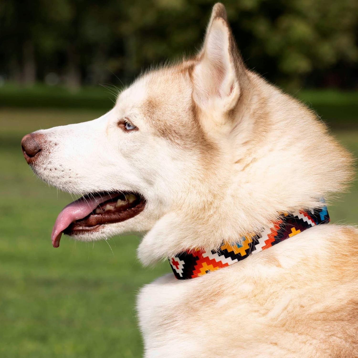 Aztec Dog Collar Adjustable Nylon Tribal Pattern Geometric Pet Collars for Dogs Small Medium Large Puppy (Ethnic Teal, Neck Fit 10"-13")
